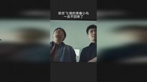 我的青春小鸟一去再回来