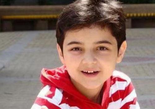 阿尔法爸爸,揭秘人工智能育儿新时代  第3张