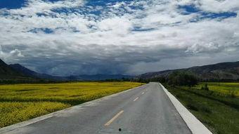 自行我路,追寻独特人生轨迹  第2张