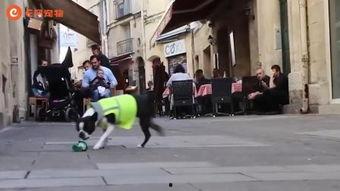 街头废物,创意回收，绿色生活新风尚