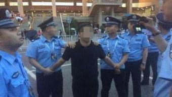 小逃犯,逆境中的成长与蜕变  第2张