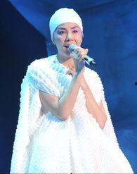 离婚后我回归歌坛天后