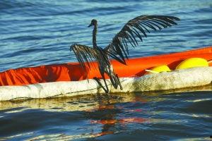 巴拉塔里亚,探寻古老文明的神秘足迹  第2张