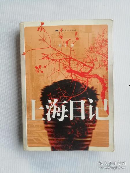 上海日记,记录繁华都市的点点滴滴