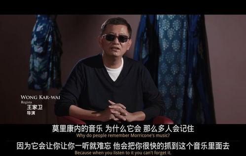 音魂掠影,探寻音乐与光影交织的奇妙旅程  第3张