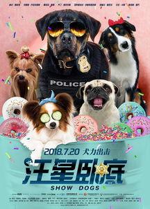 汪星卧底（原声版）,忠诚犬探大揭秘  第2张